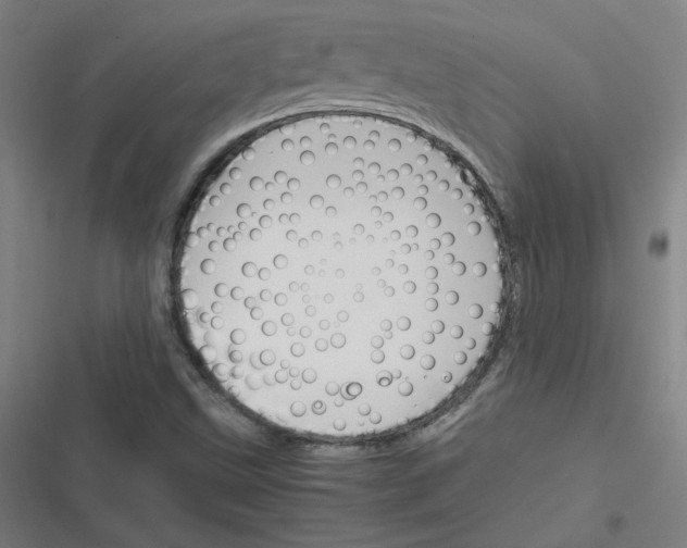 X0000116291499201001111045