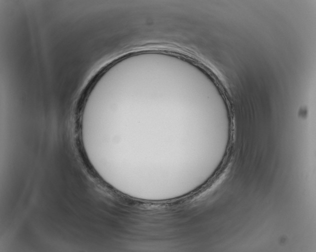 X0000116291501201001111045