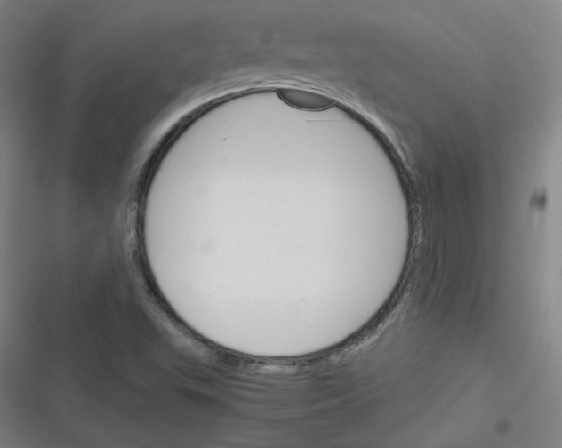 X0000116291503201001111045