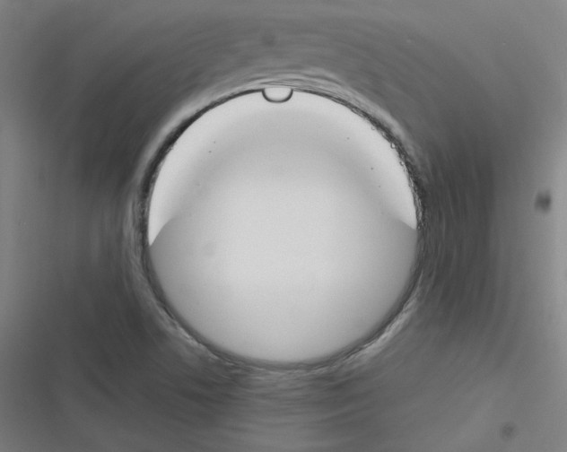 X0000116291506201001111045