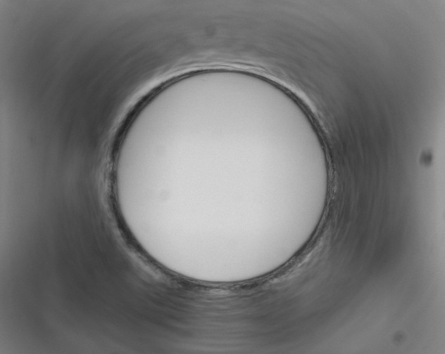 X0000116291507201001111045