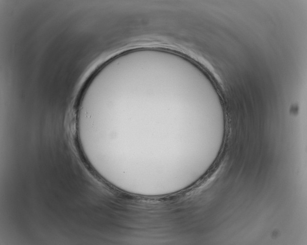 X0000116291509201001111045