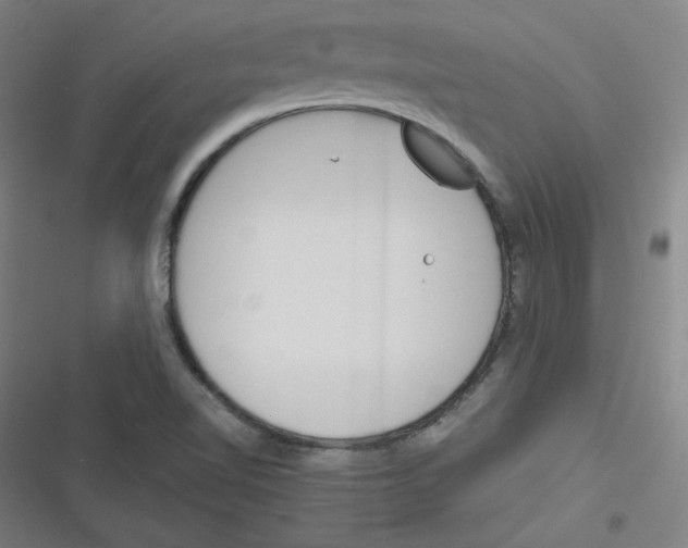 X0000116291510201001111045