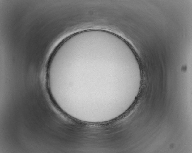 X0000116291511201001111046