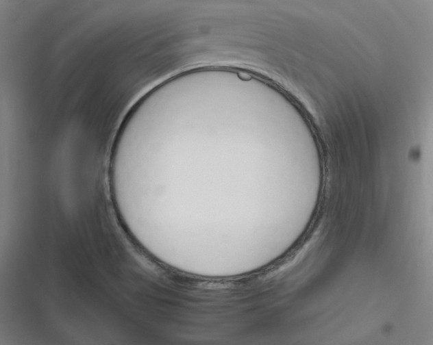 X0000116291513201001111046