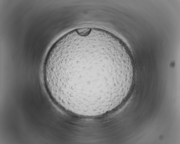 X0000116291517201001111046