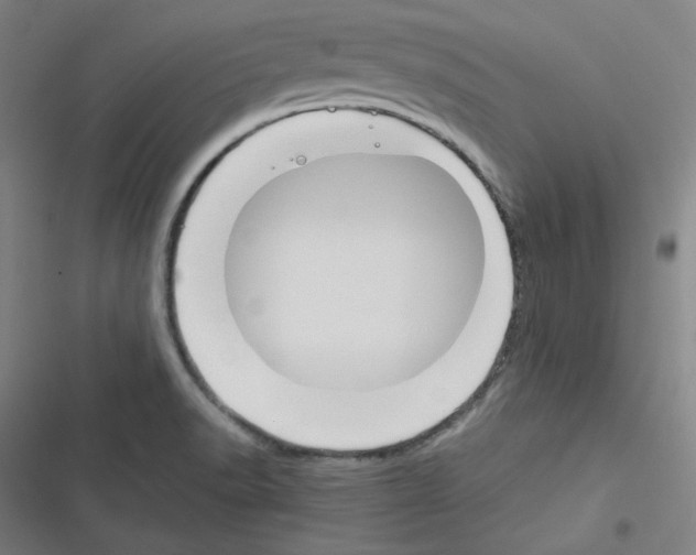 X0000116291518201001111046