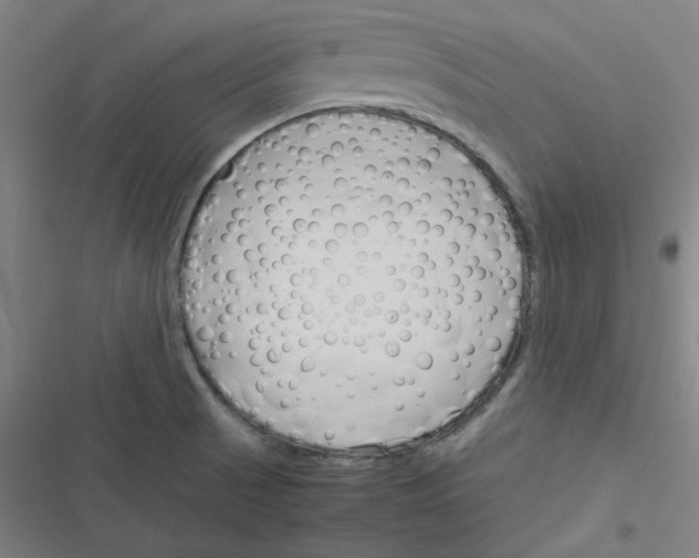 X0000116291521201001111046