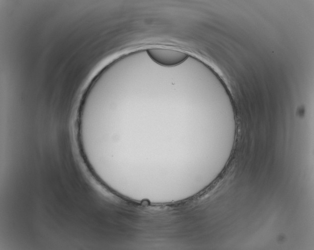 X0000116291523201001111046