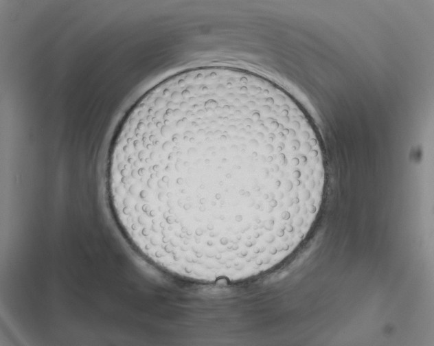 X0000116291525201001111046