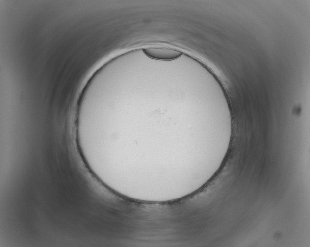 X0000116291526201001111046