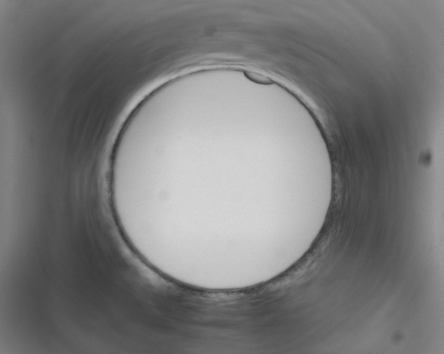 X0000116291527201001111046