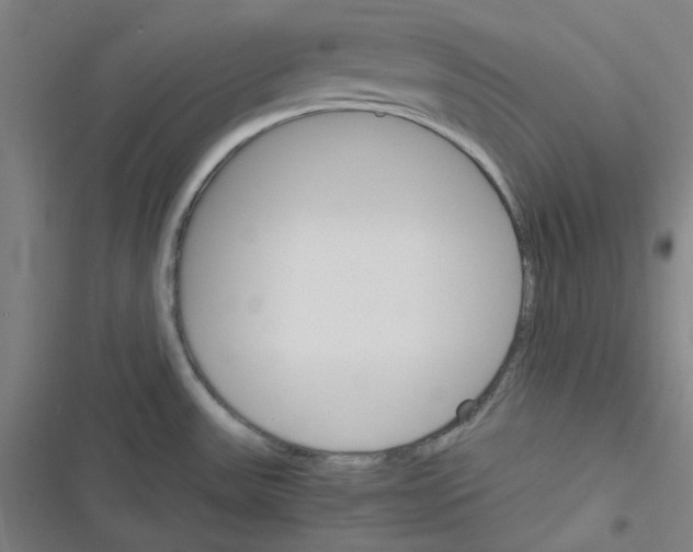 X0000116291531201001111046