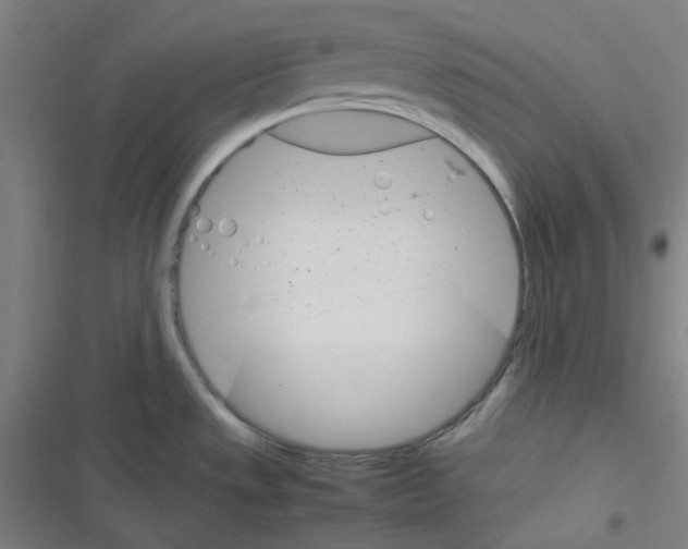 X0000116291533201001111046