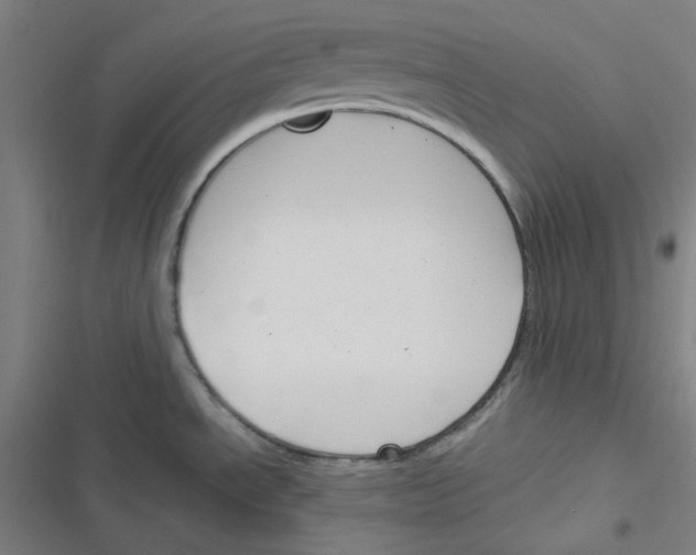 X0000116291534201001111046