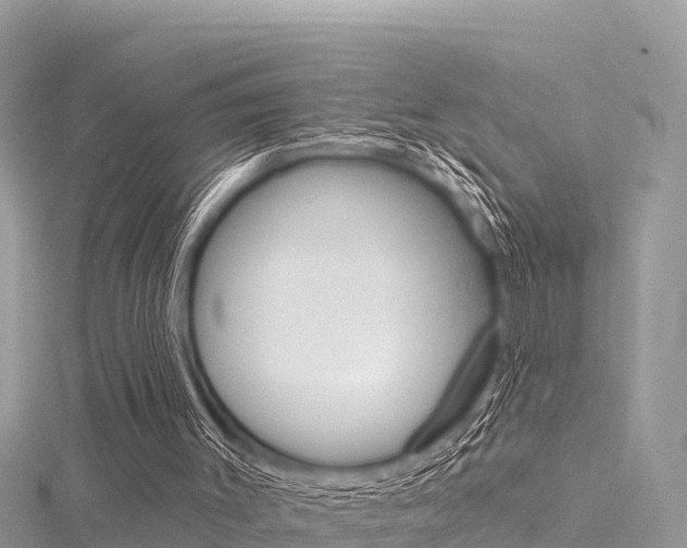 X0000116300003200911301024