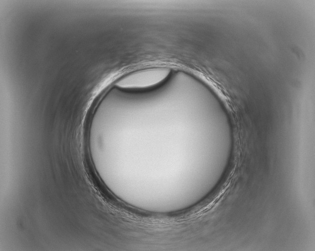 X0000116300008200911301024
