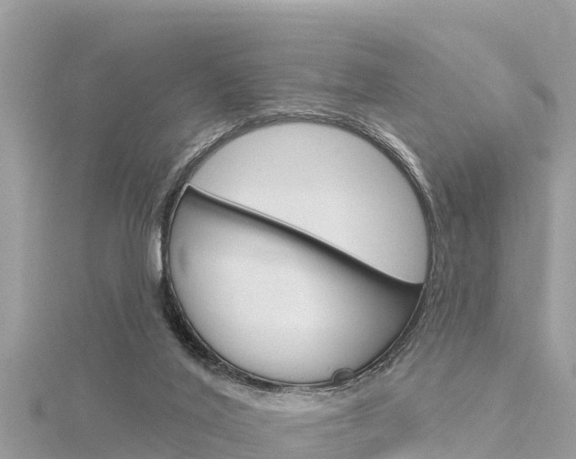X0000116300020200911301024