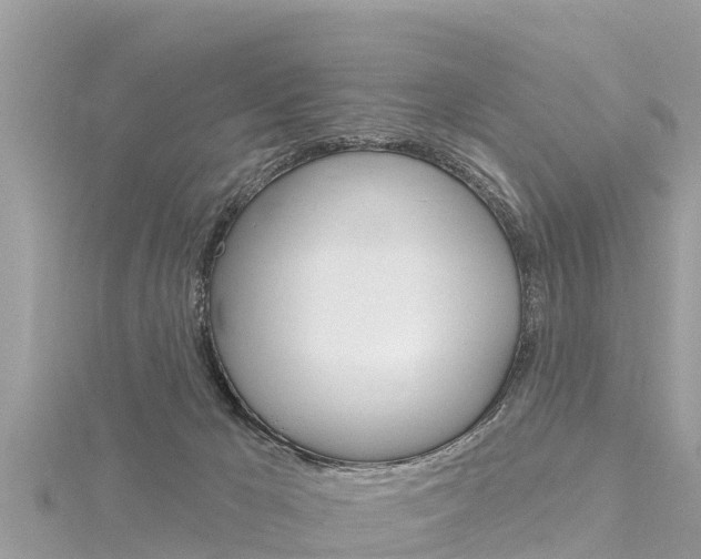 X0000116300029200911301024