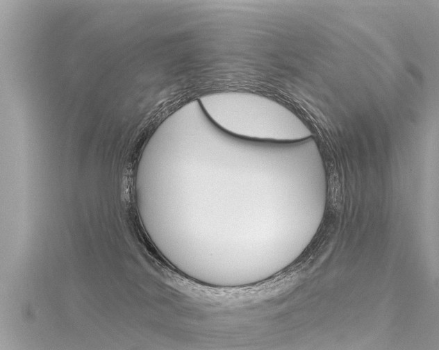 X0000116300038200911301024