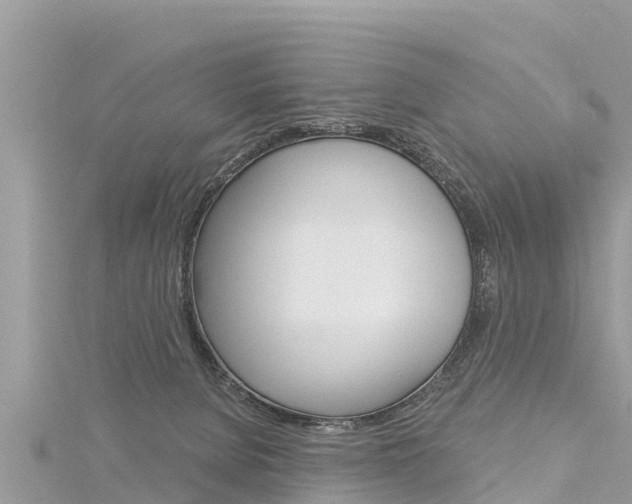 X0000116300080200911301023