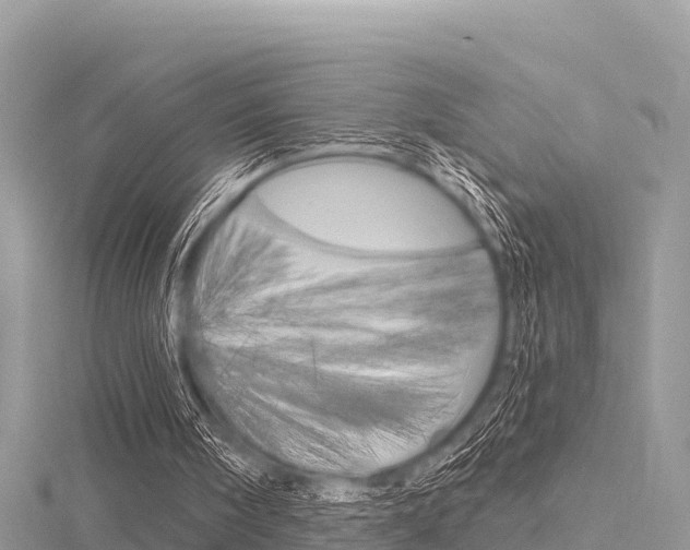X0000116300098200911301023