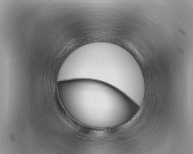 X0000116300170200911301022
