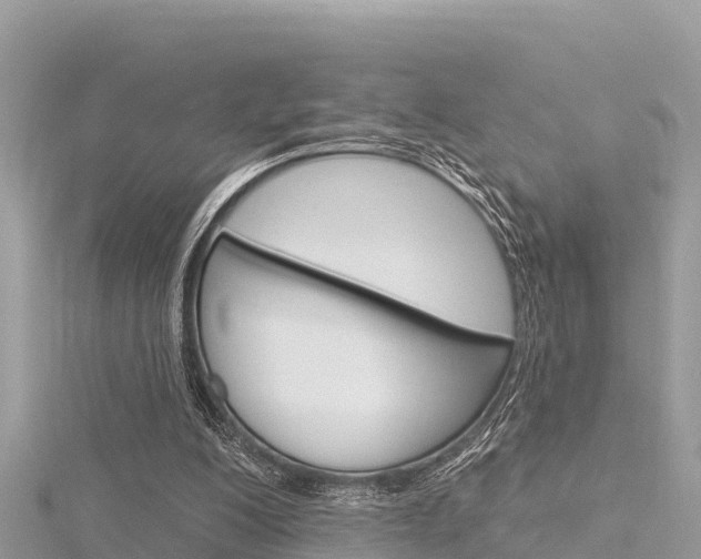 X0000116300200200911301021