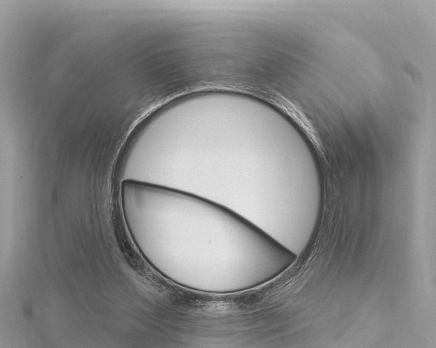 X0000116300204200911301021