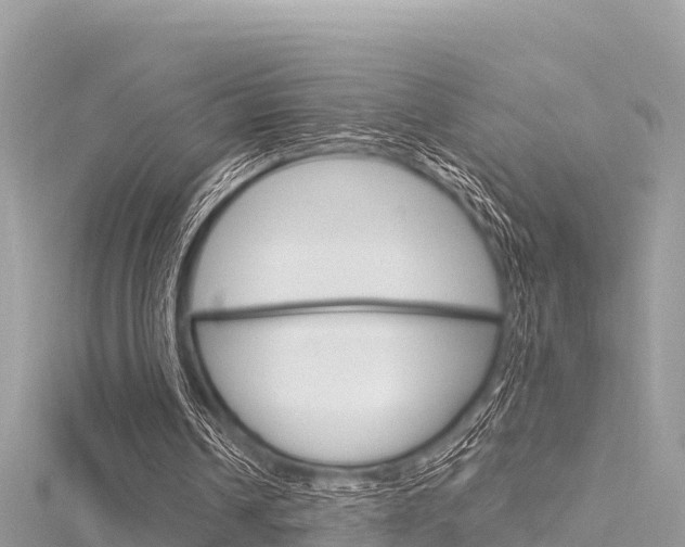 X0000116300242200911301020