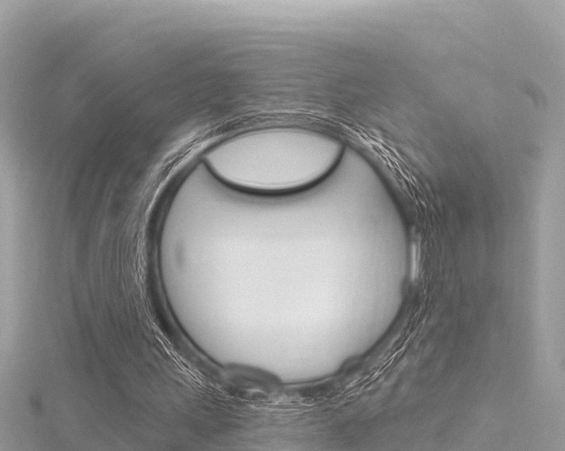 X0000116300243200911301020