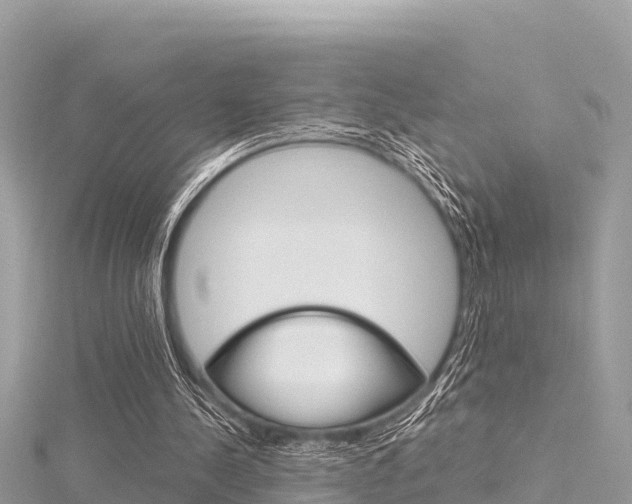 X0000116300244200911301020