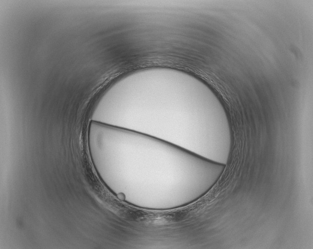 X0000116300254200911301020