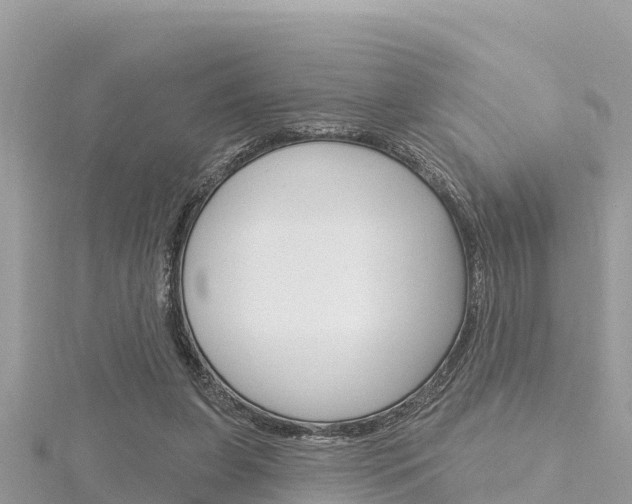 X0000116300255200911301020