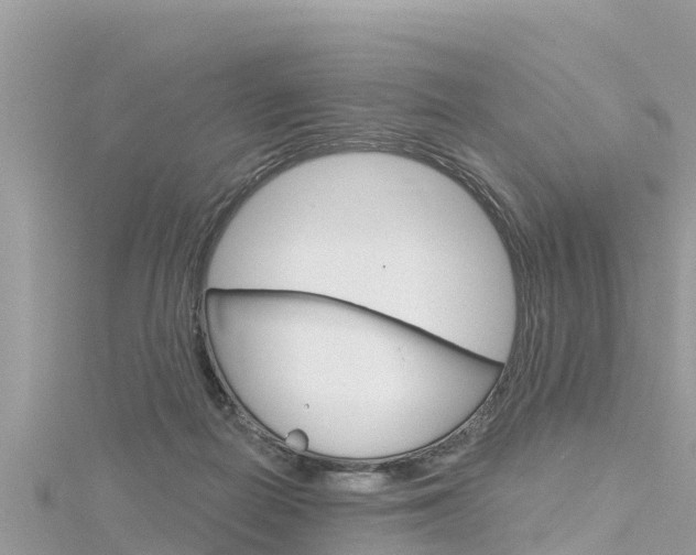 X0000116300266200911301020