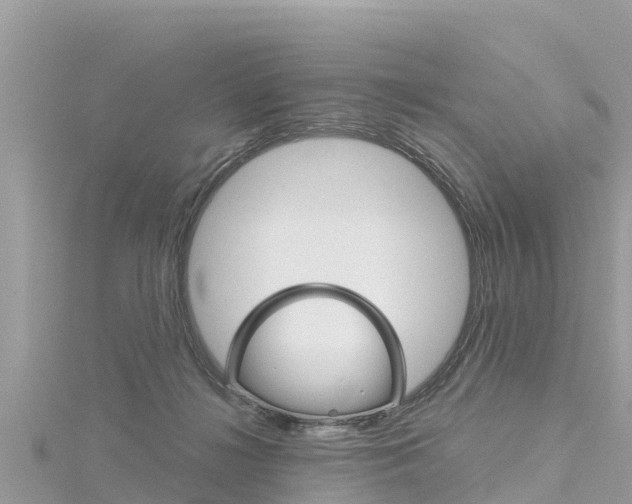 X0000116300268200911301021