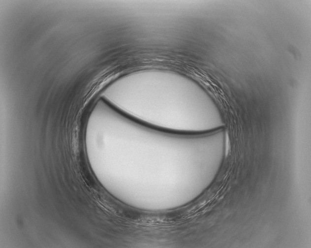 X0000116300291200911301020