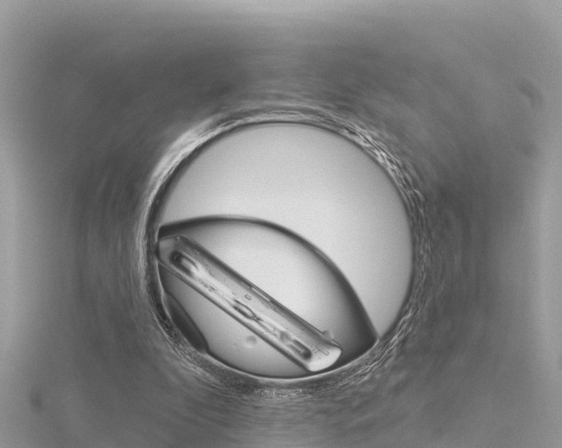 X0000116300296200911301020