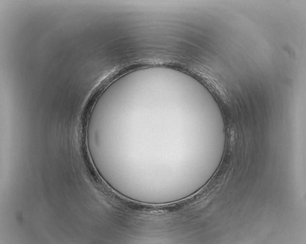 X0000116300304200911301020