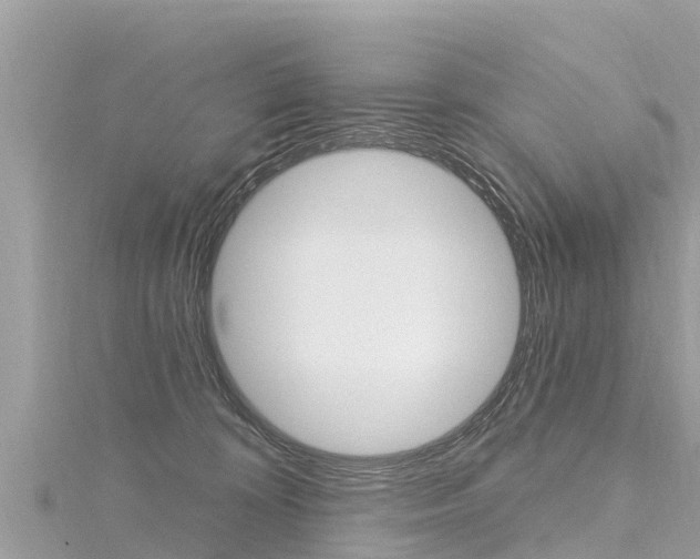 X0000116300324200911301020