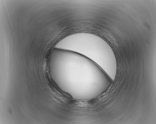X0000116300328200911301019