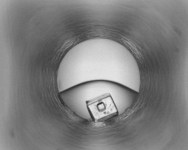 X0000116300333200911301019