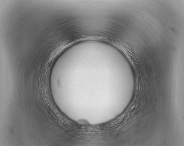 X0000116300337200911301018