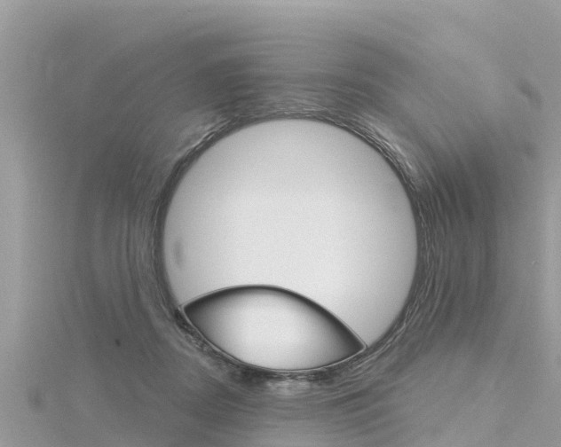 X0000116300362200911301019