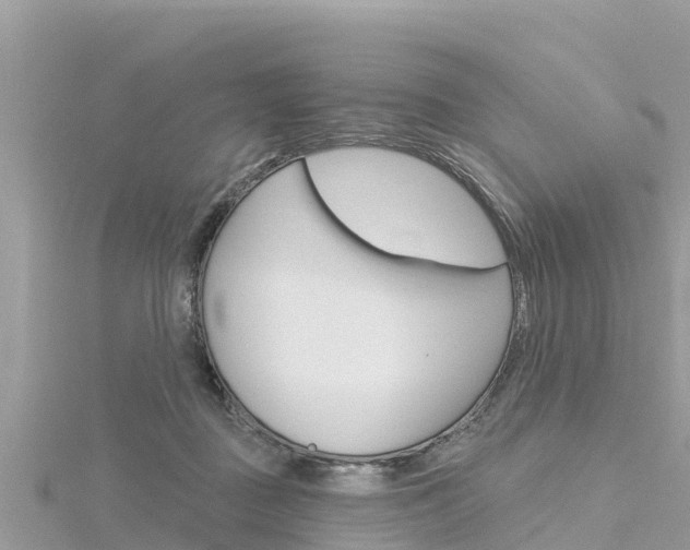 X0000116300363200911301019