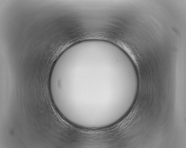 X0000116300385200911301018