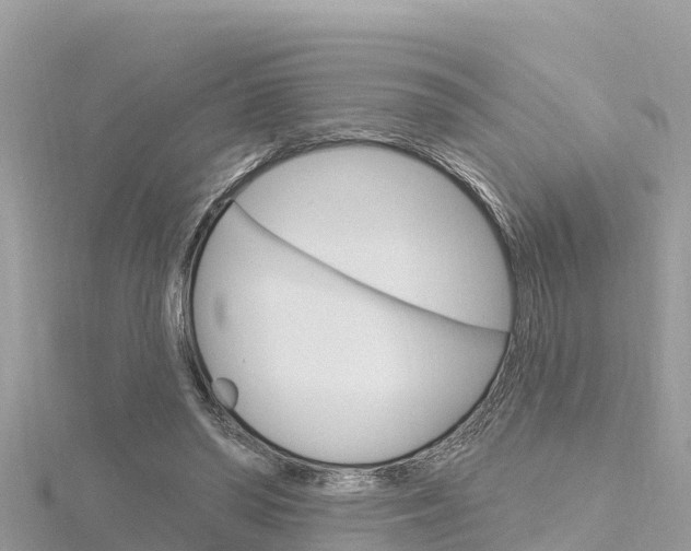 X0000116300398200911301018