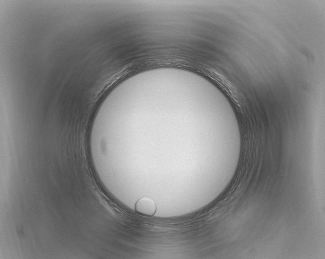 X0000116300405200911301018