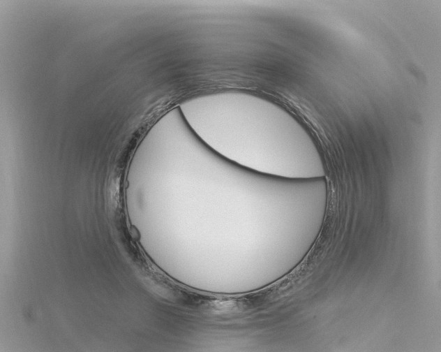 X0000116300406200911301018