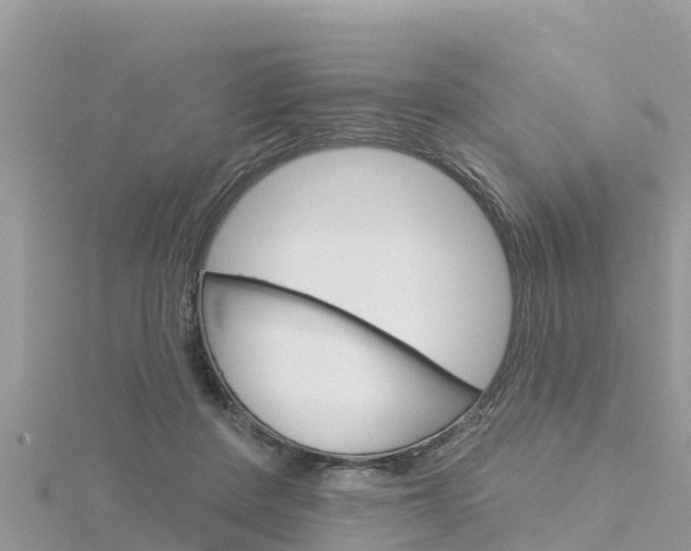 X0000116300408200911301018